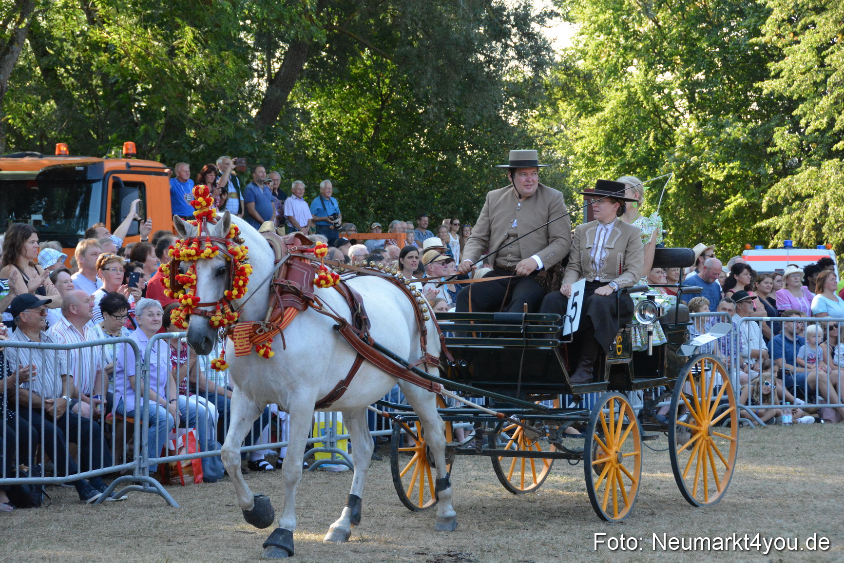 Pferde und Fohlenschau JURA Volksfest 2018 0041