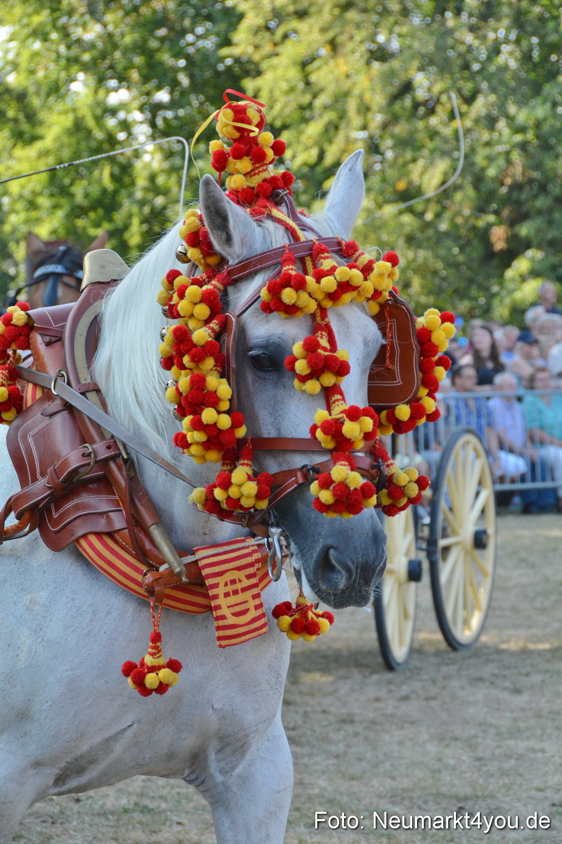 Pferde und Fohlenschau JURA Volksfest 2018 0042
