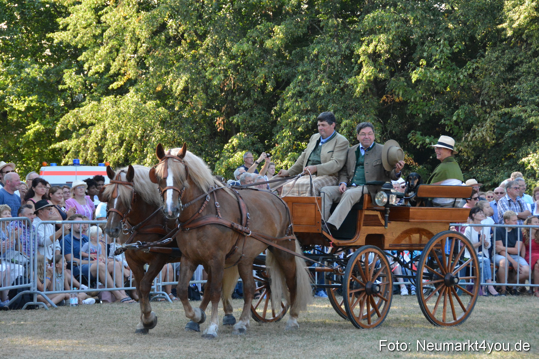 Pferde und Fohlenschau JURA Volksfest 2018 0045