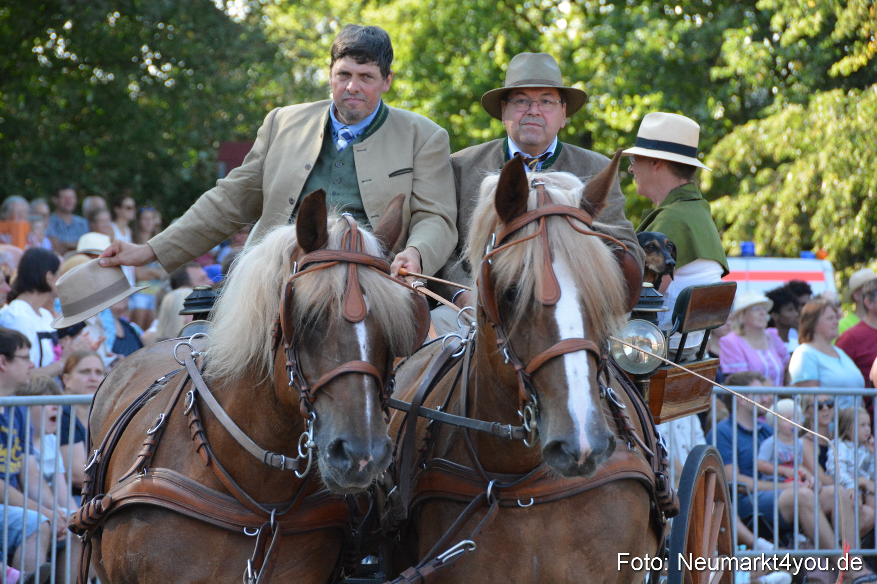 Pferde und Fohlenschau JURA Volksfest 2018 0046