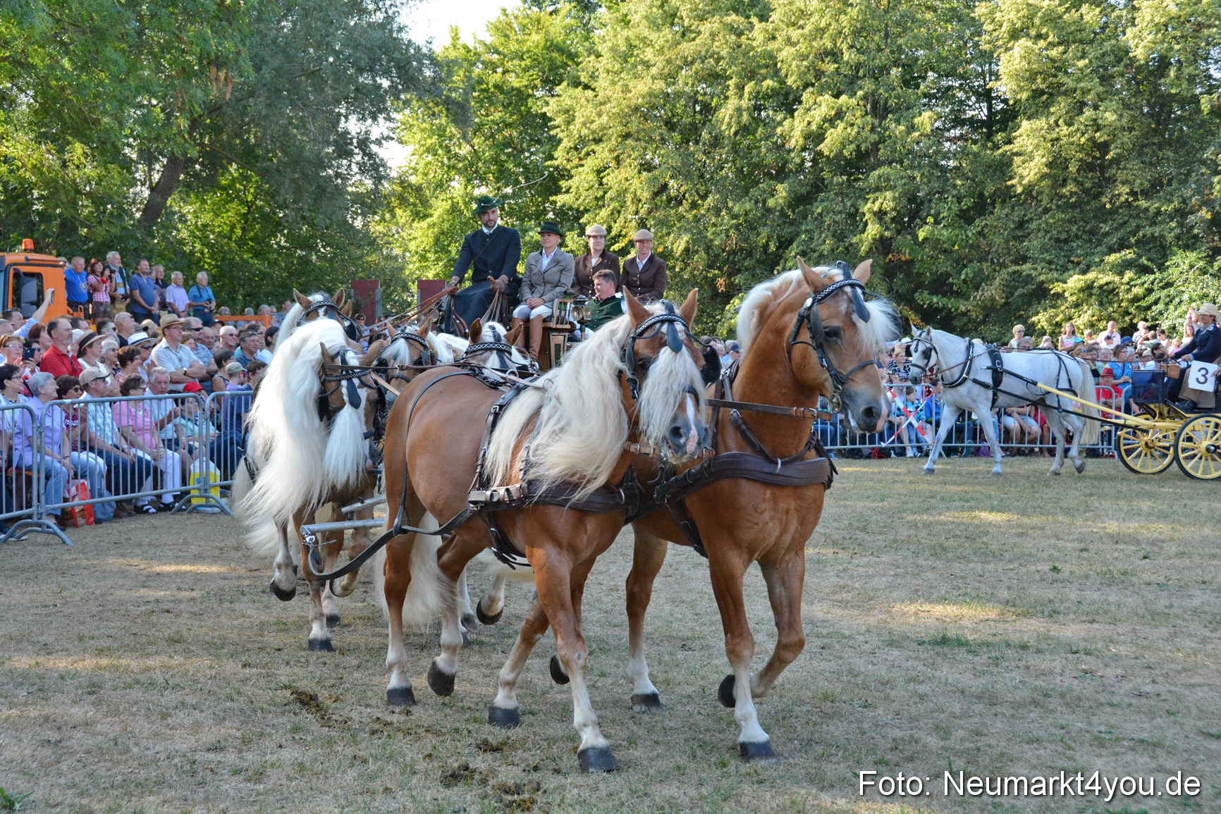 Pferde und Fohlenschau JURA Volksfest 2018 0047