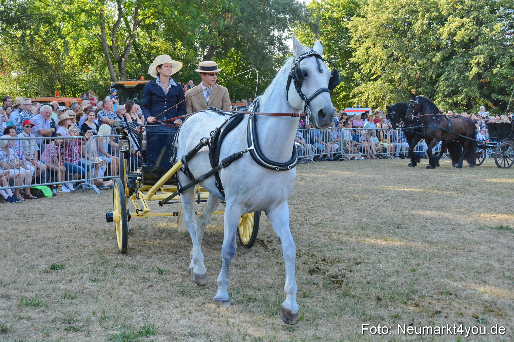 Pferde und Fohlenschau JURA Volksfest 2018 0048