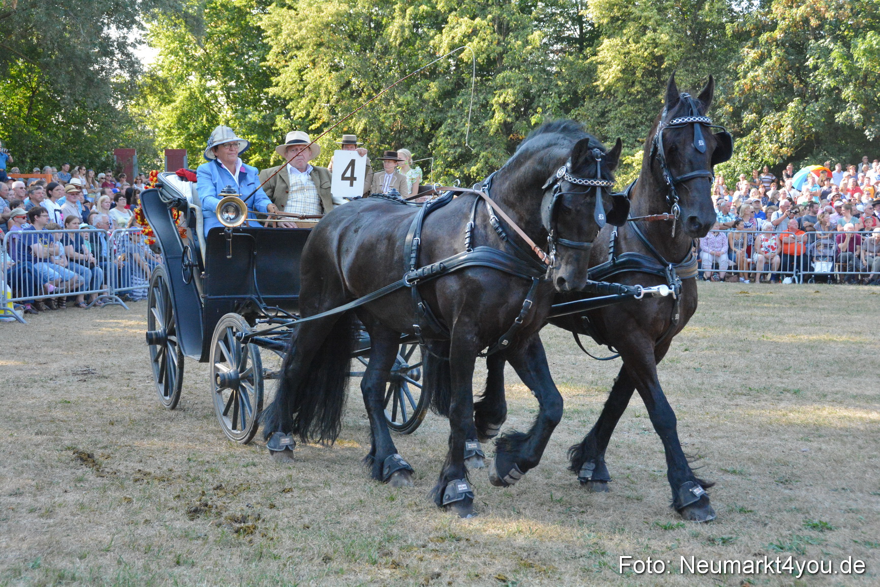 Pferde und Fohlenschau JURA Volksfest 2018 0049