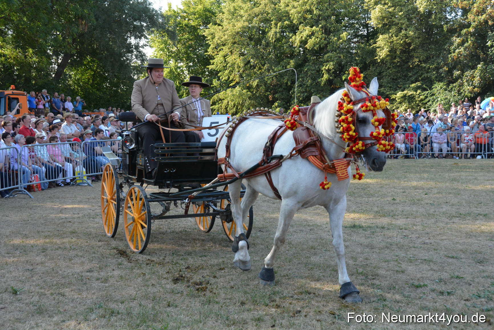 Pferde und Fohlenschau JURA Volksfest 2018 0050