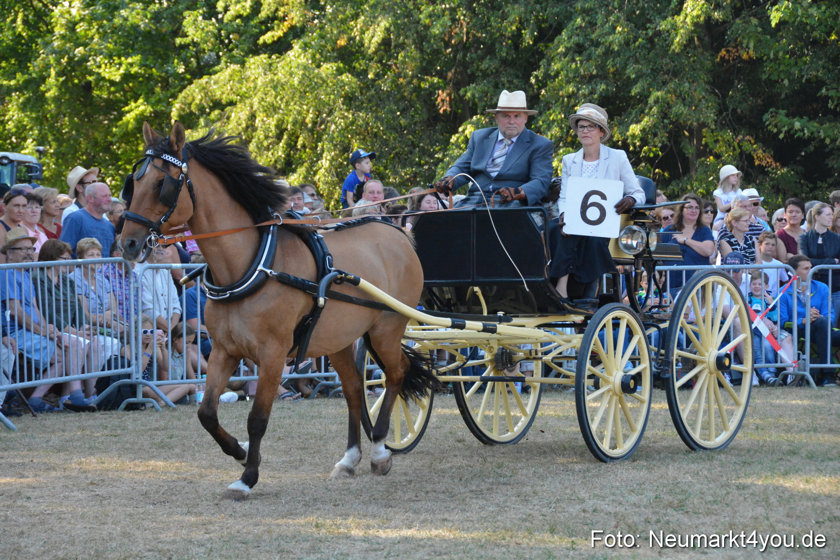 Pferde und Fohlenschau JURA Volksfest 2018 0051