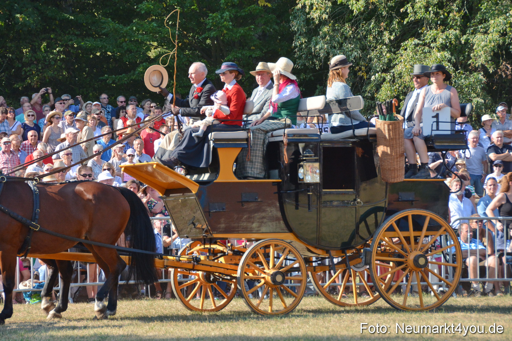 Pferde und Fohlenschau JURA Volksfest 2018 0052