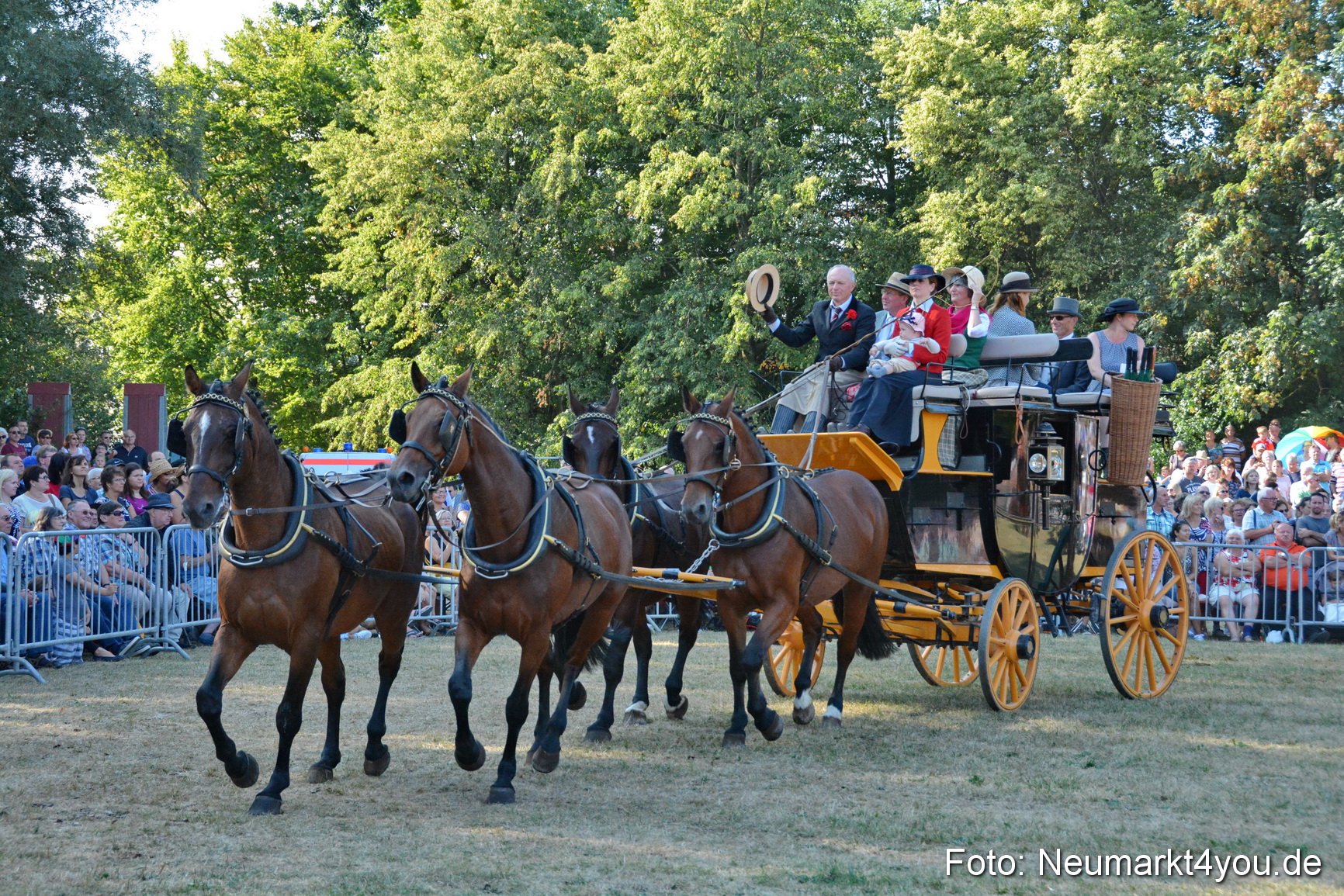 Pferde und Fohlenschau JURA Volksfest 2018 0053