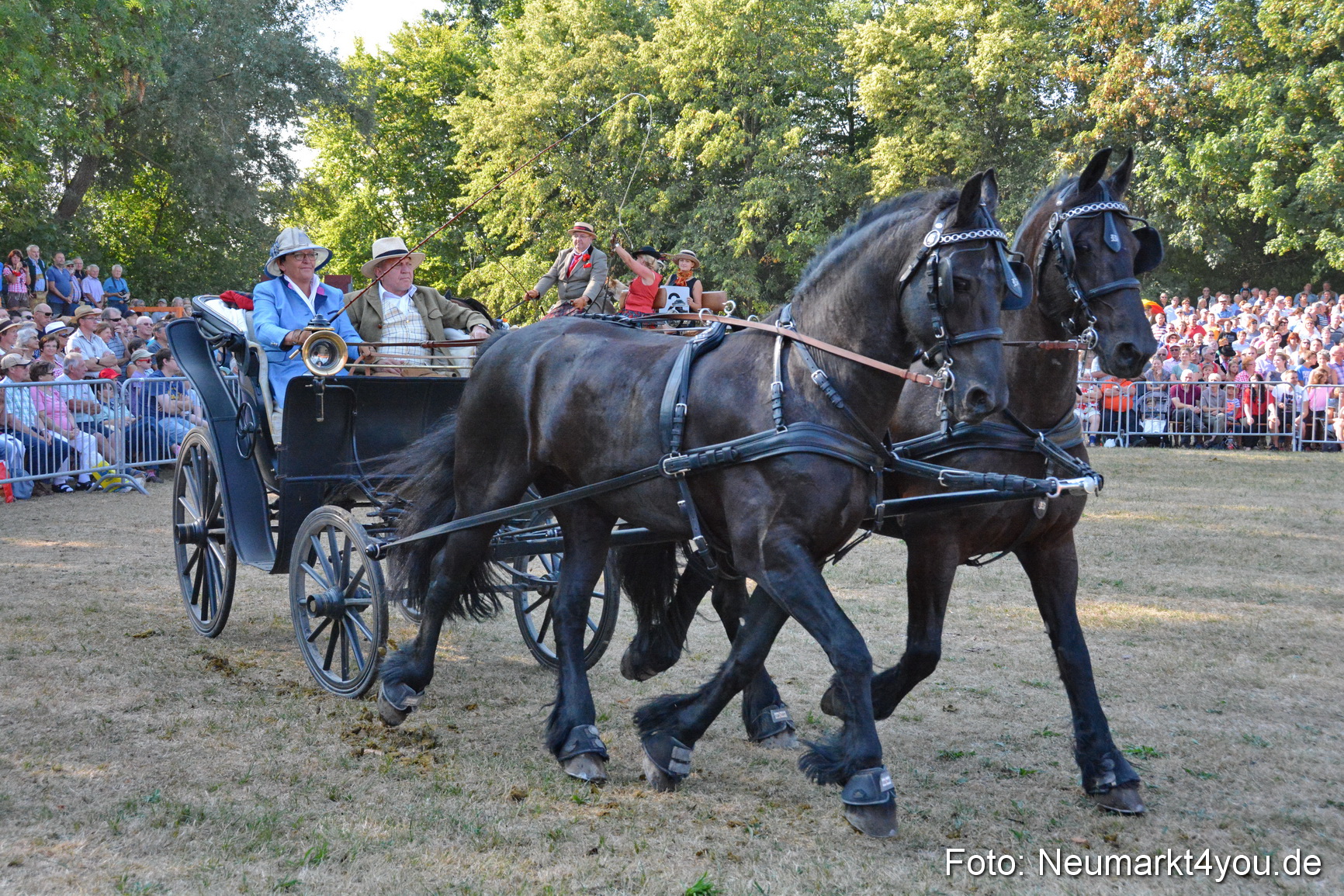 Pferde und Fohlenschau JURA Volksfest 2018 0055