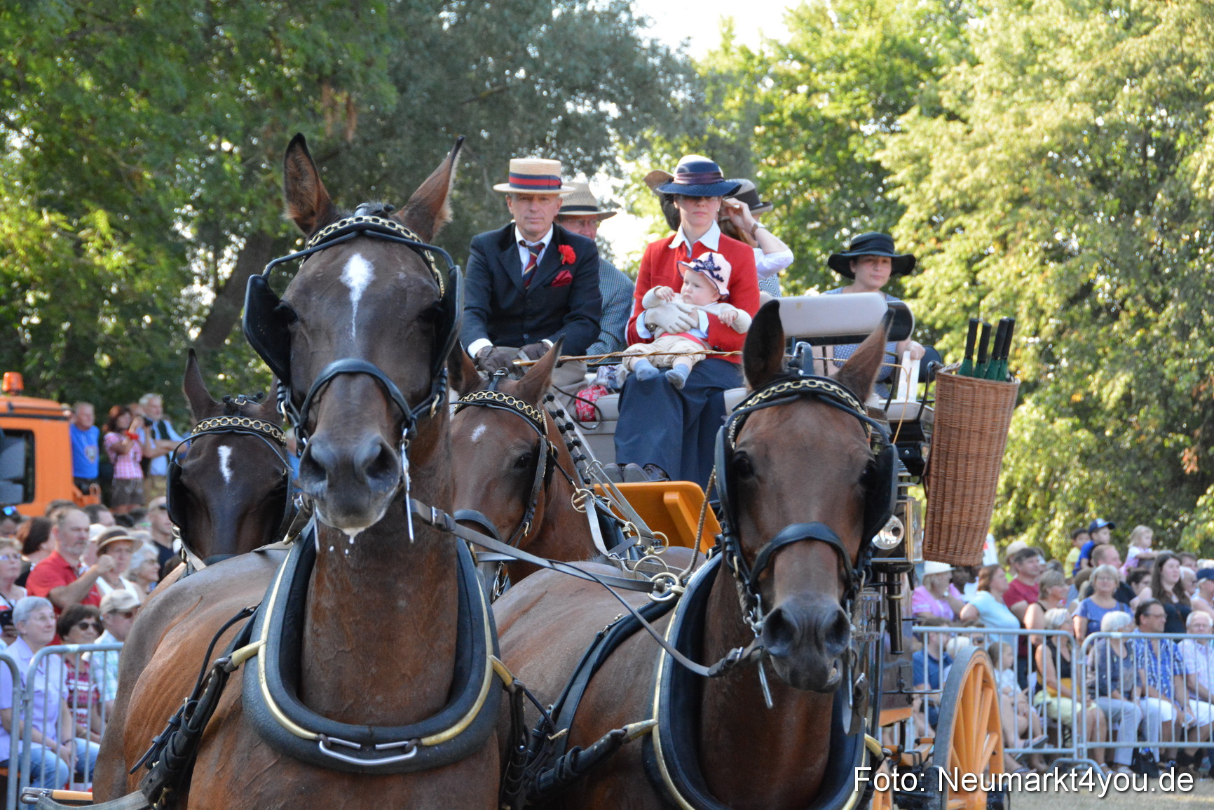 Pferde und Fohlenschau JURA Volksfest 2018 0056