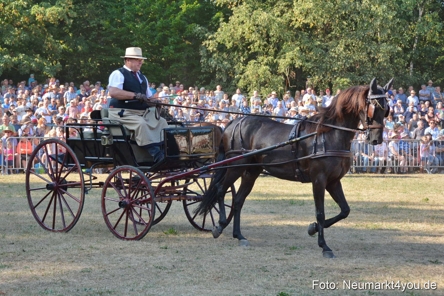 Pferde und Fohlenschau JURA Volksfest 2018 0058