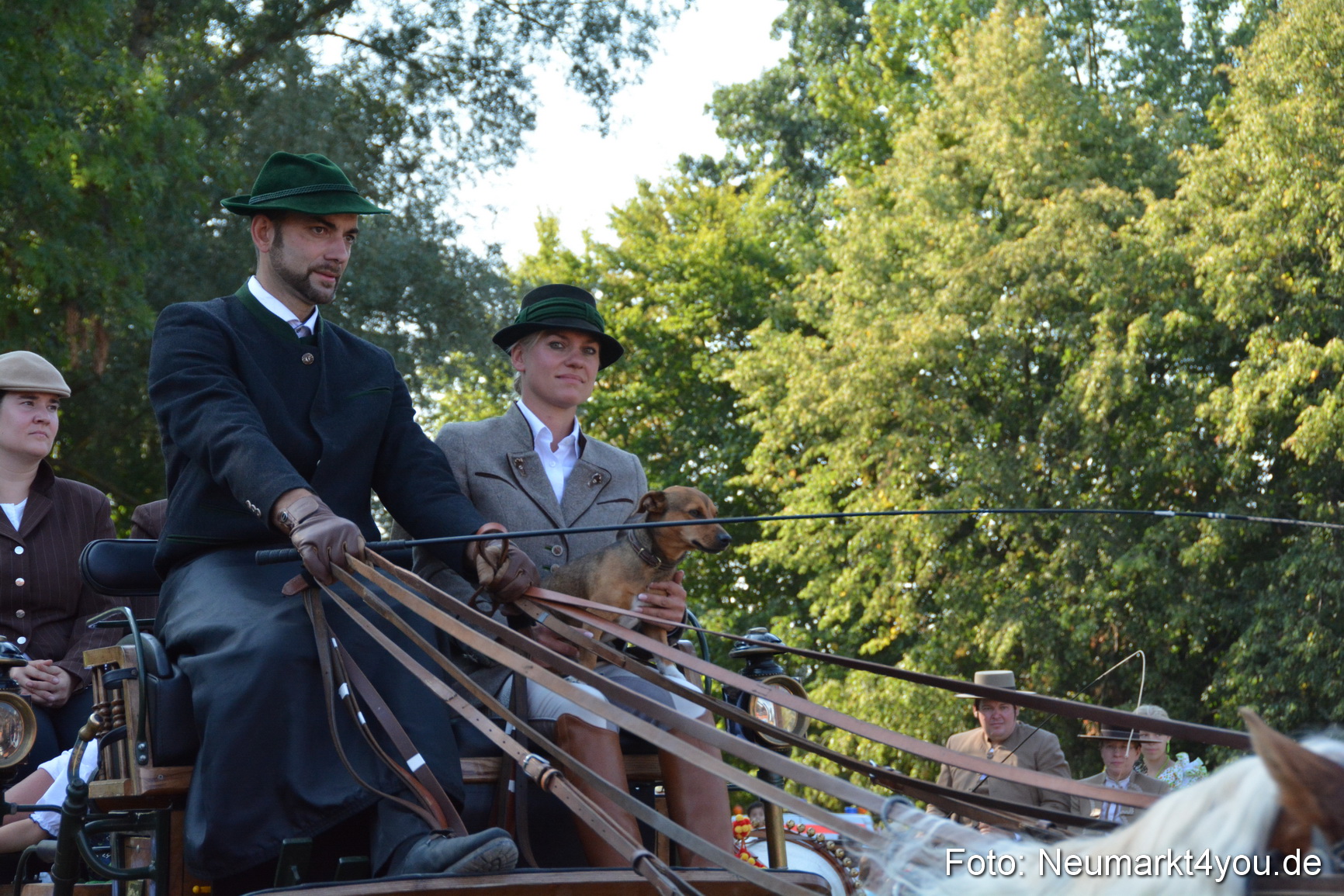 Pferde und Fohlenschau JURA Volksfest 2018 0059