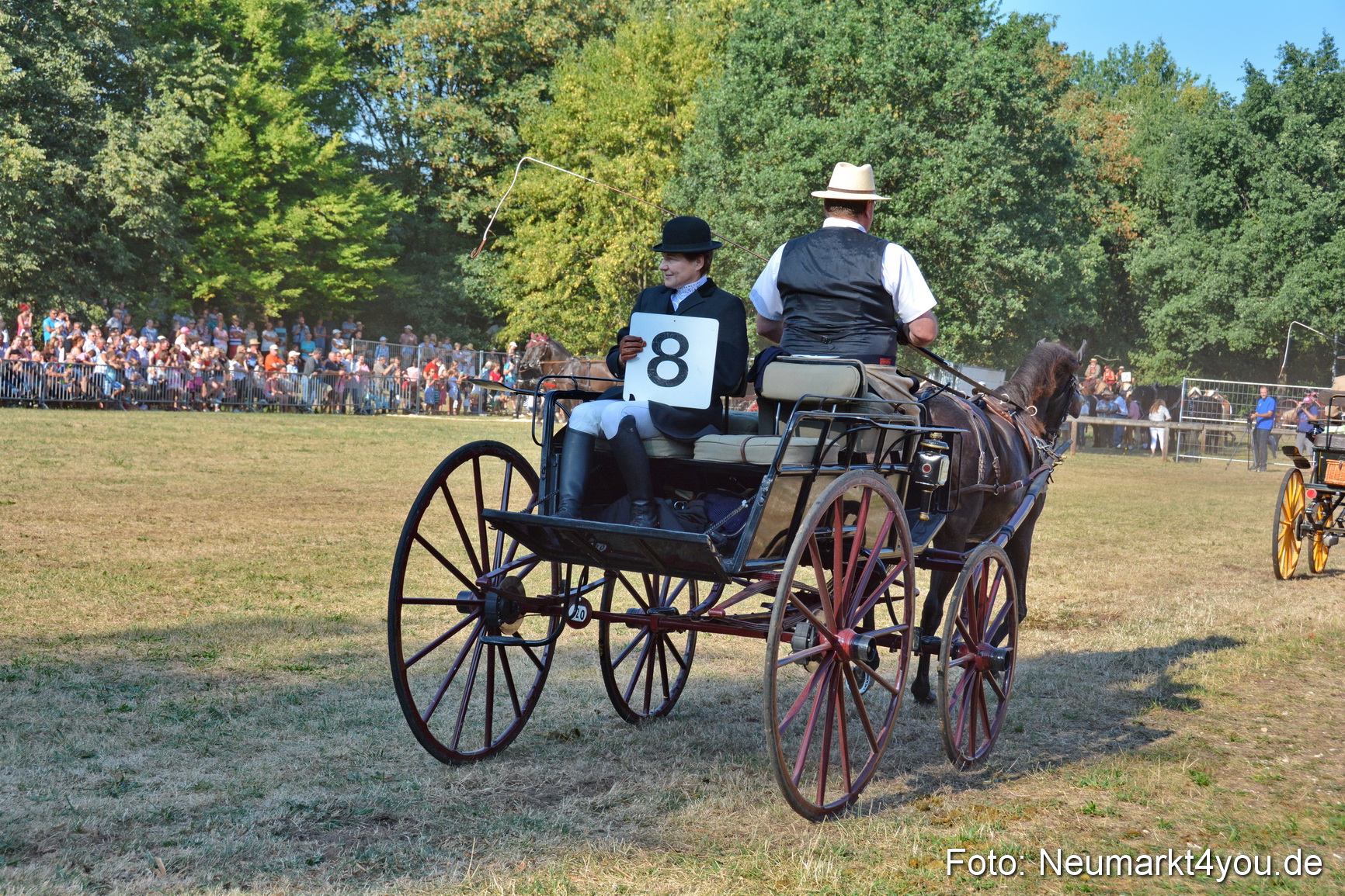Pferde und Fohlenschau JURA Volksfest 2018 0060