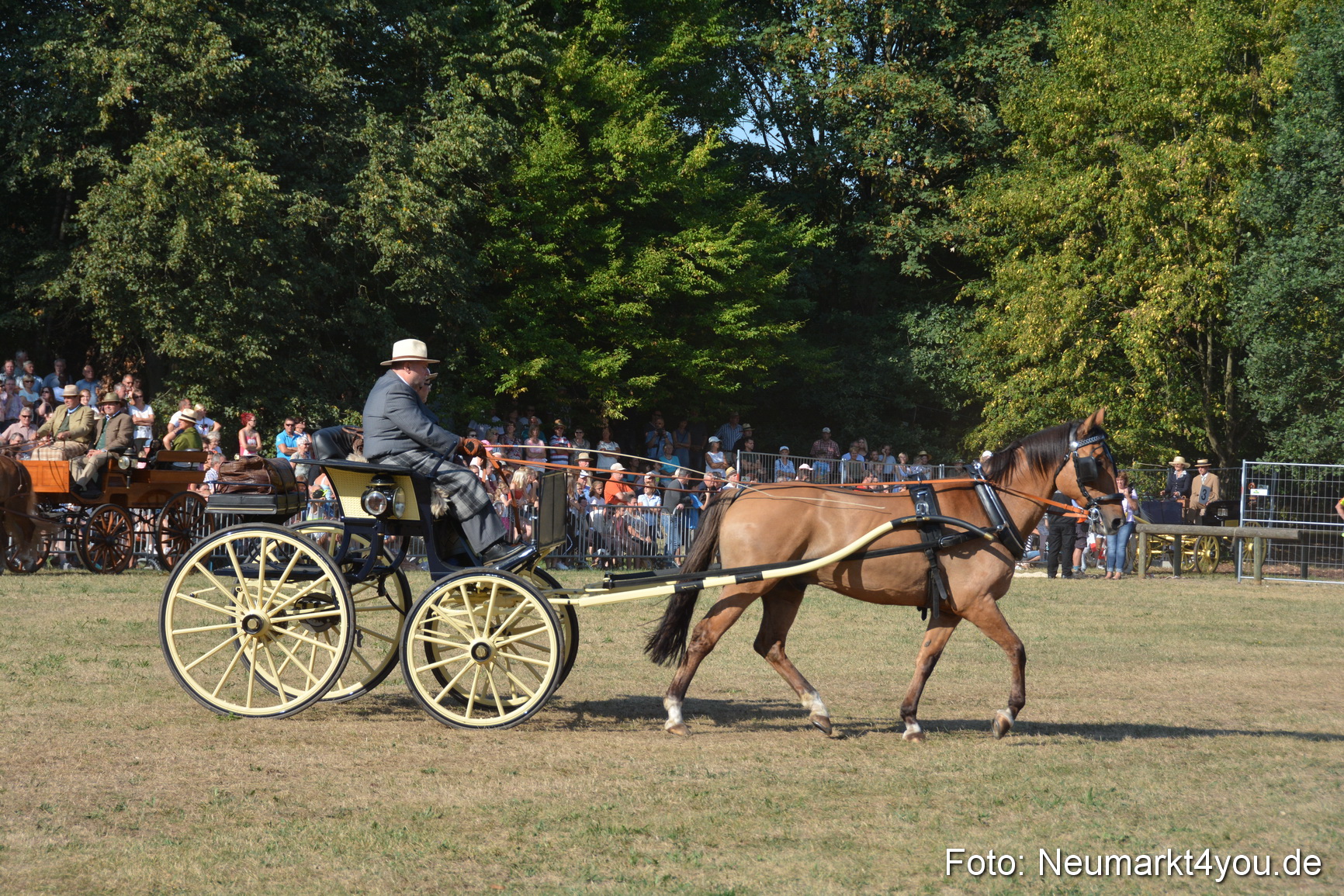 Pferde und Fohlenschau JURA Volksfest 2018 0063