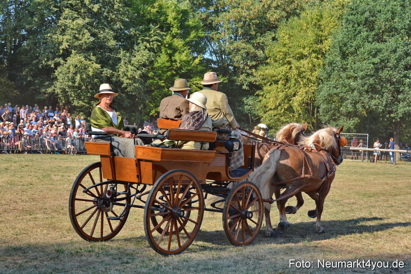Pferde und Fohlenschau JURA Volksfest 2018 0065