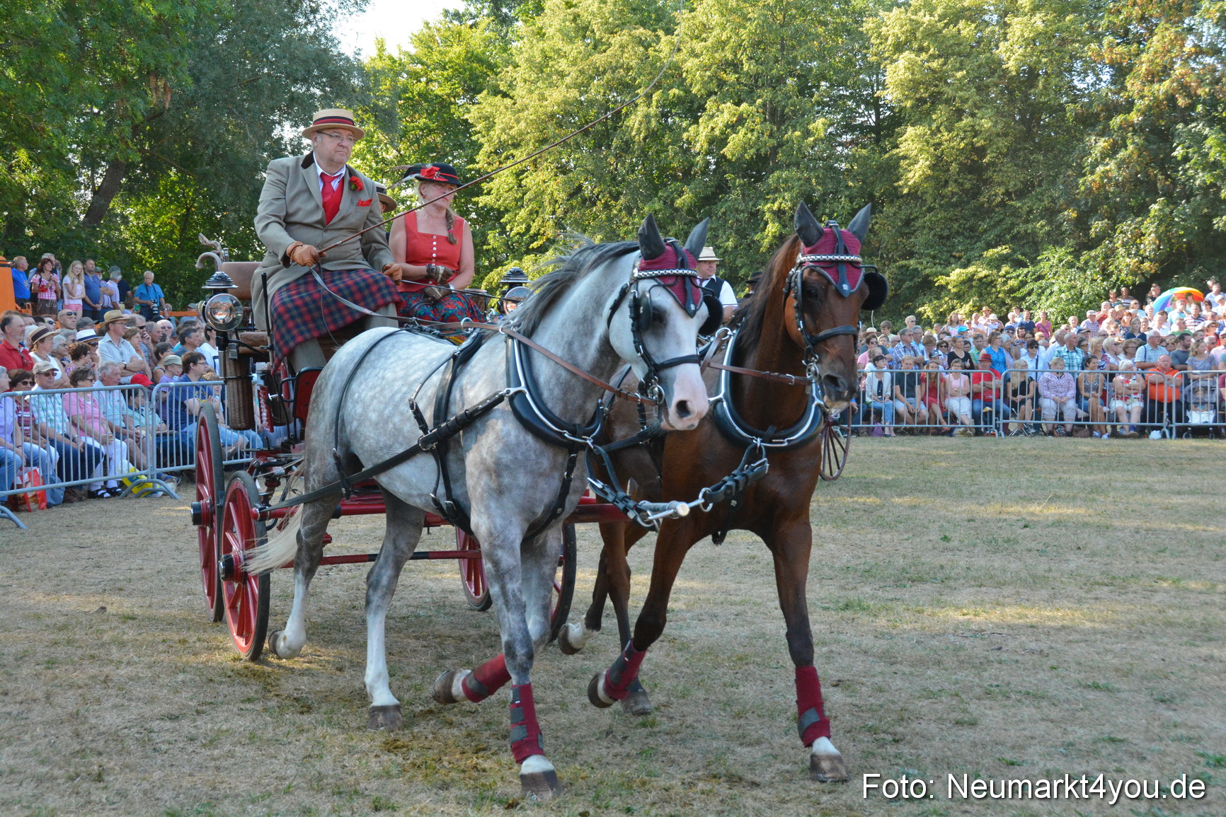Pferde und Fohlenschau JURA Volksfest 2018 0066