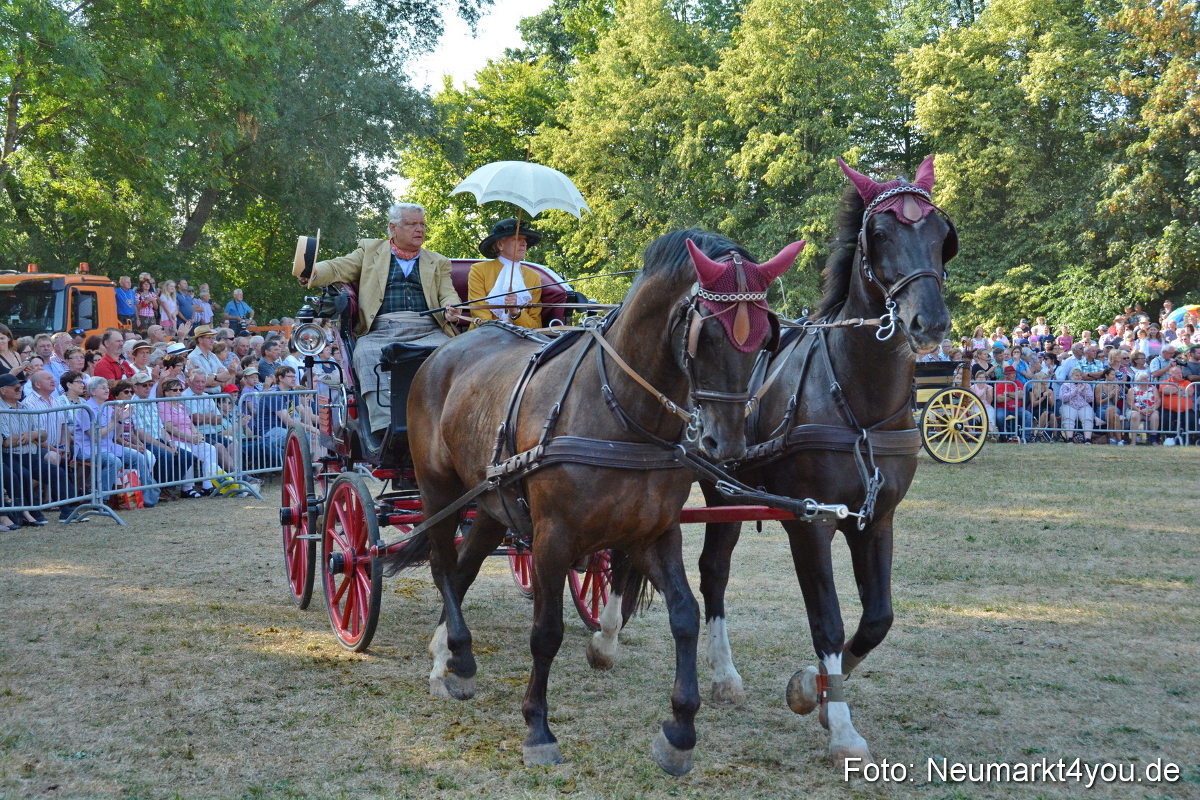 Pferde und Fohlenschau JURA Volksfest 2018 0070
