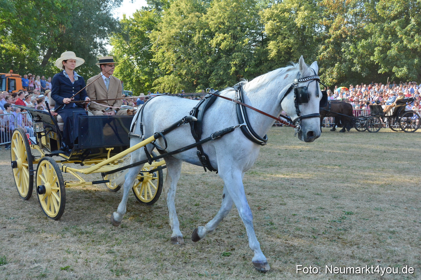 Pferde und Fohlenschau JURA Volksfest 2018 0072