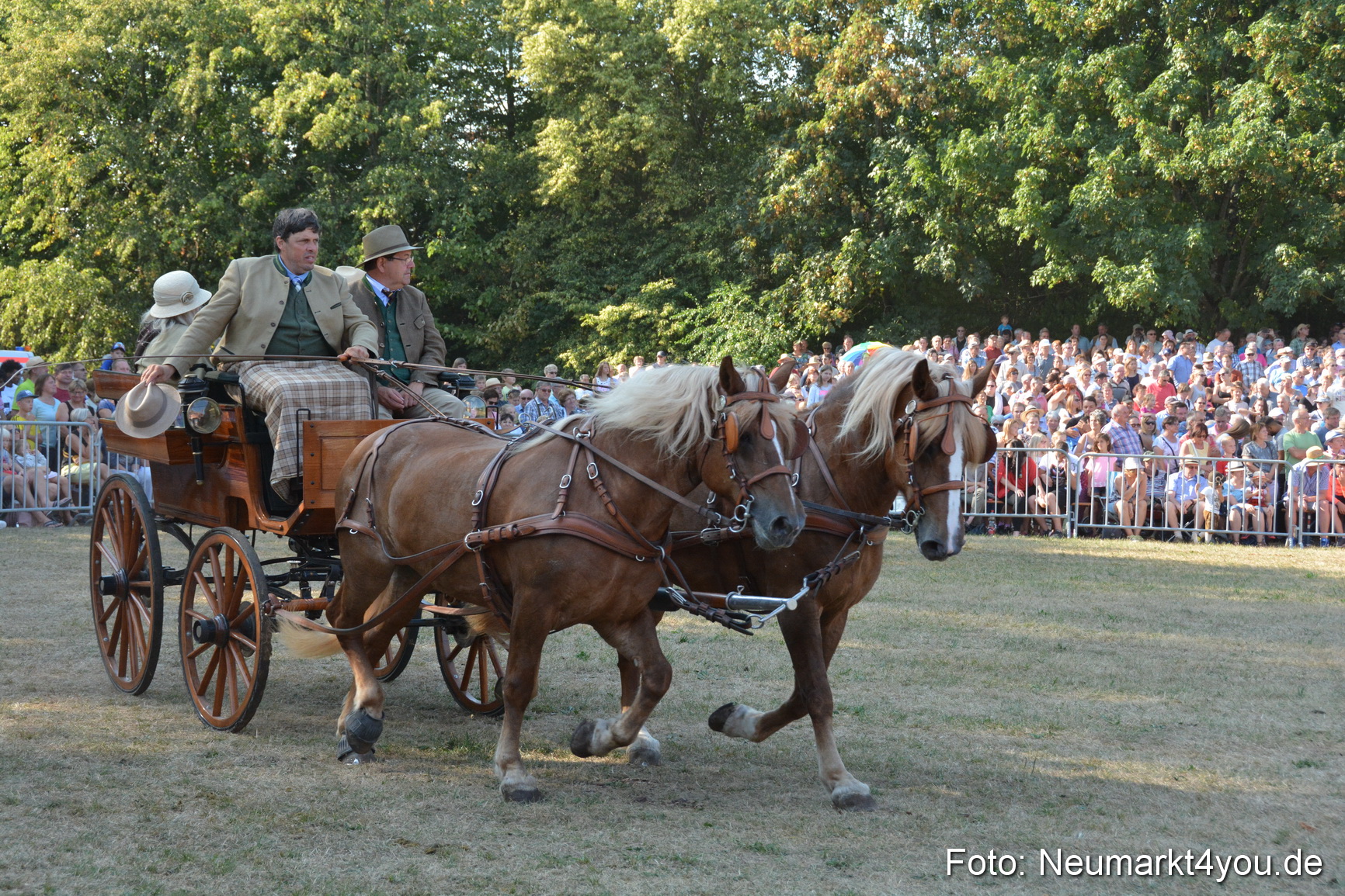 Pferde und Fohlenschau JURA Volksfest 2018 0073