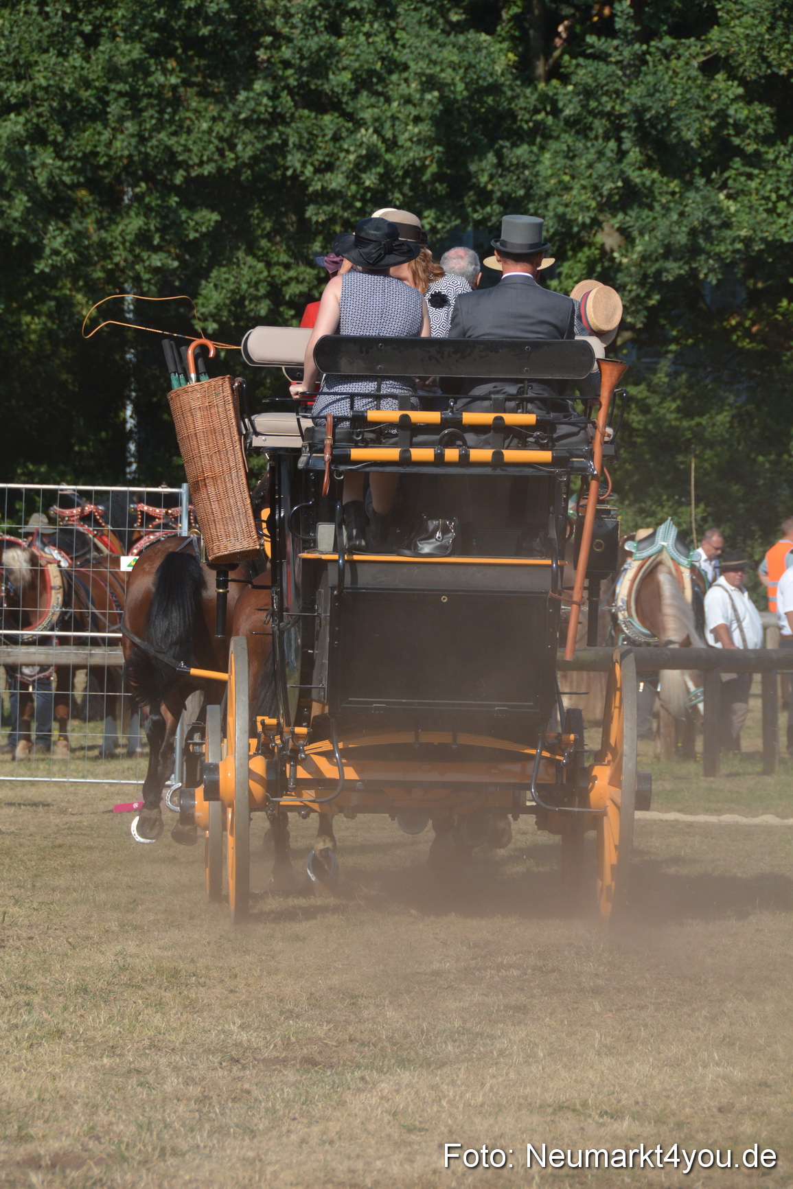 Pferde und Fohlenschau JURA Volksfest 2018 0074