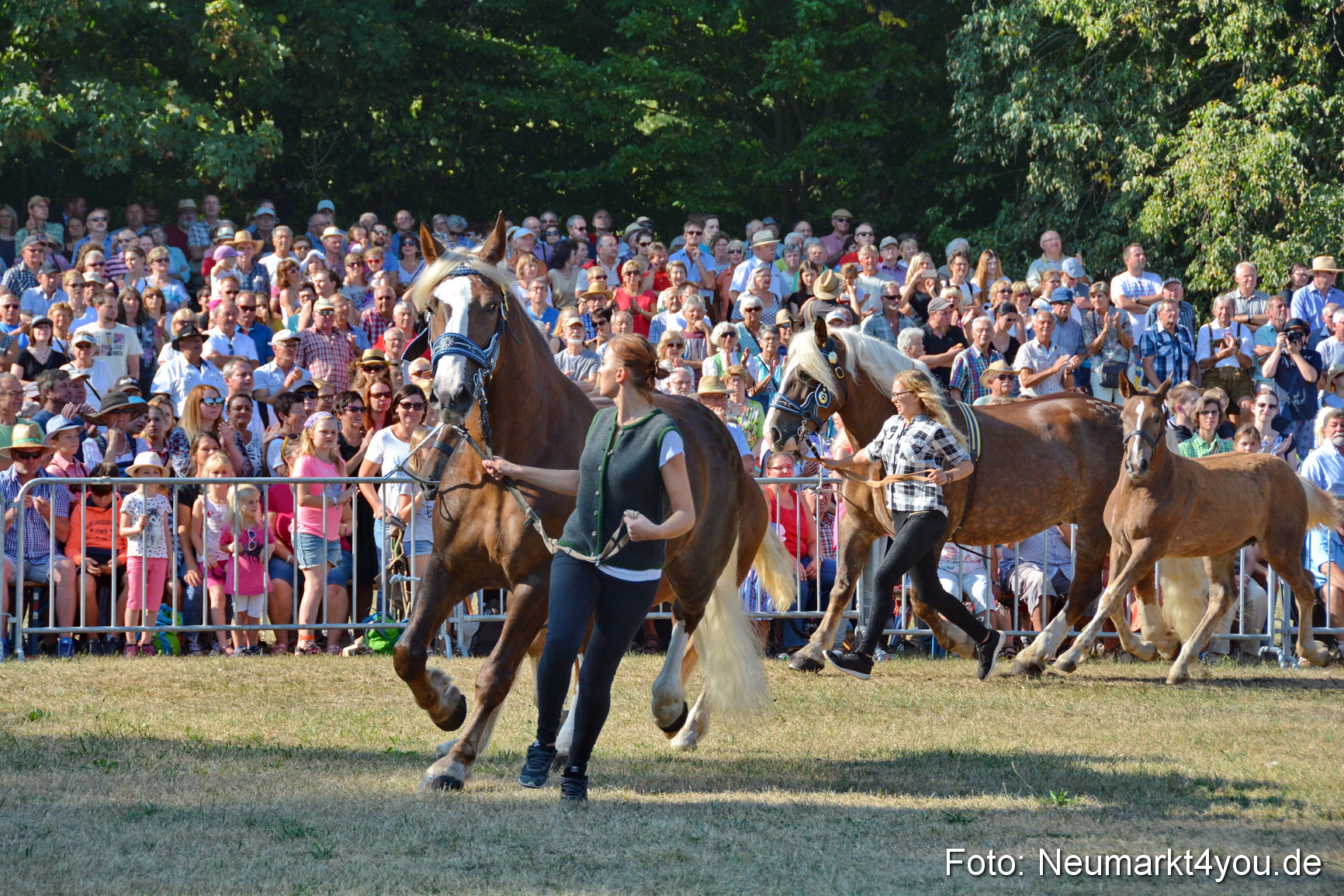 Pferde und Fohlenschau JURA Volksfest 2018 0077