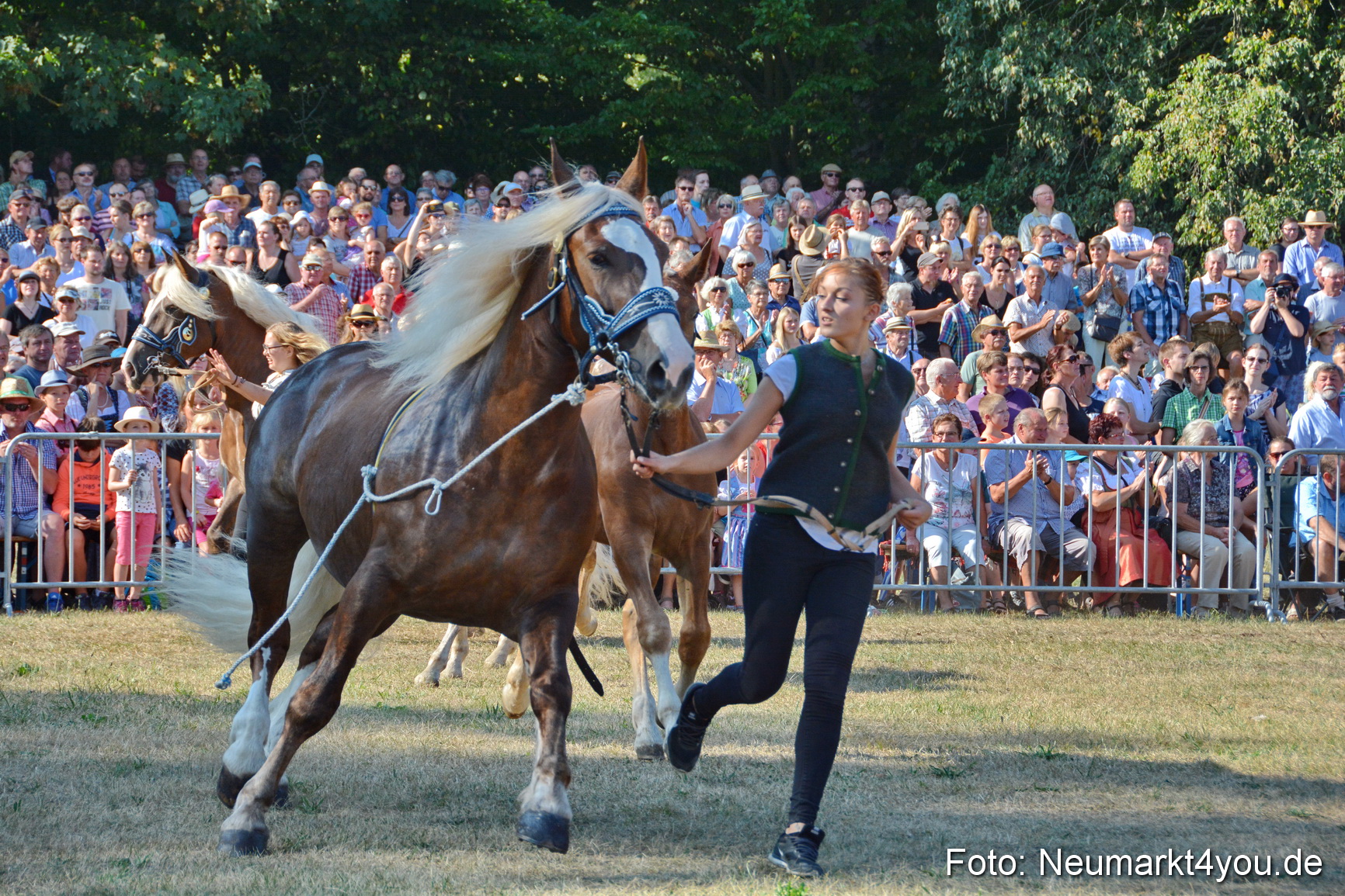 Pferde und Fohlenschau JURA Volksfest 2018 0078