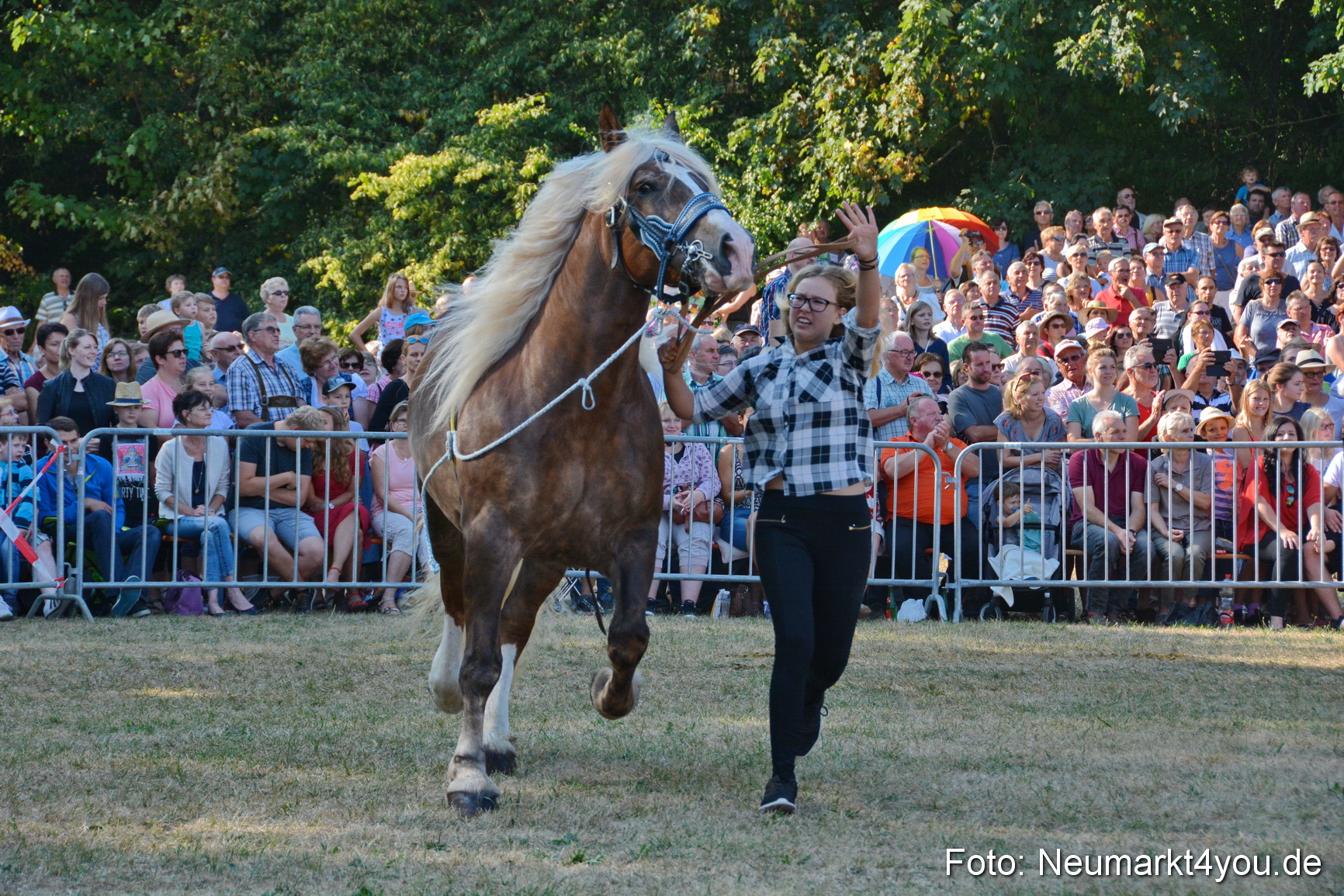 Pferde und Fohlenschau JURA Volksfest 2018 0079