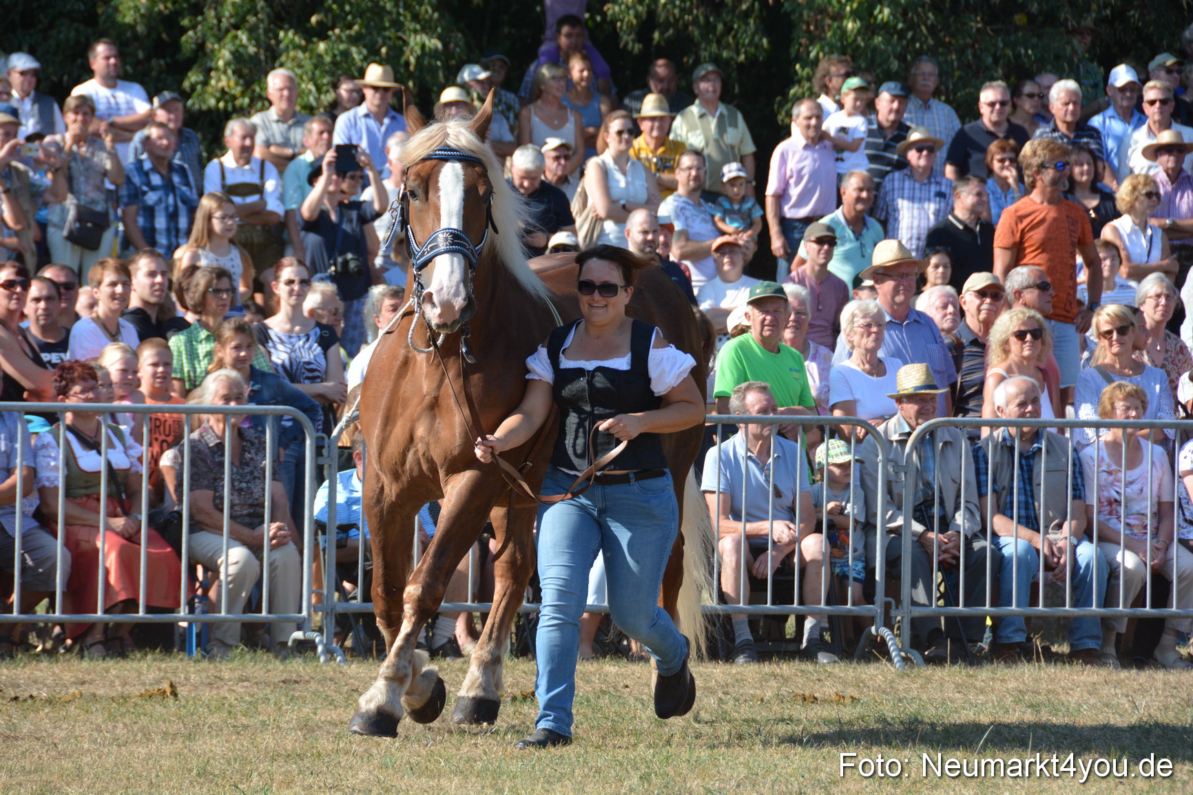 Pferde und Fohlenschau JURA Volksfest 2018 0082