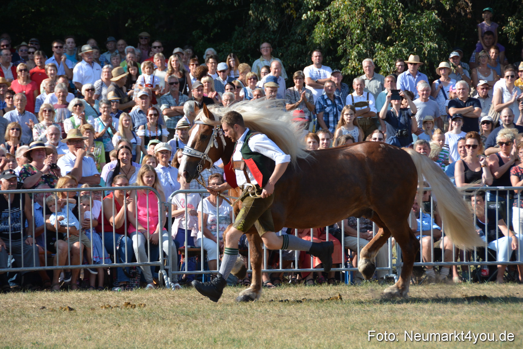 Pferde und Fohlenschau JURA Volksfest 2018 0085
