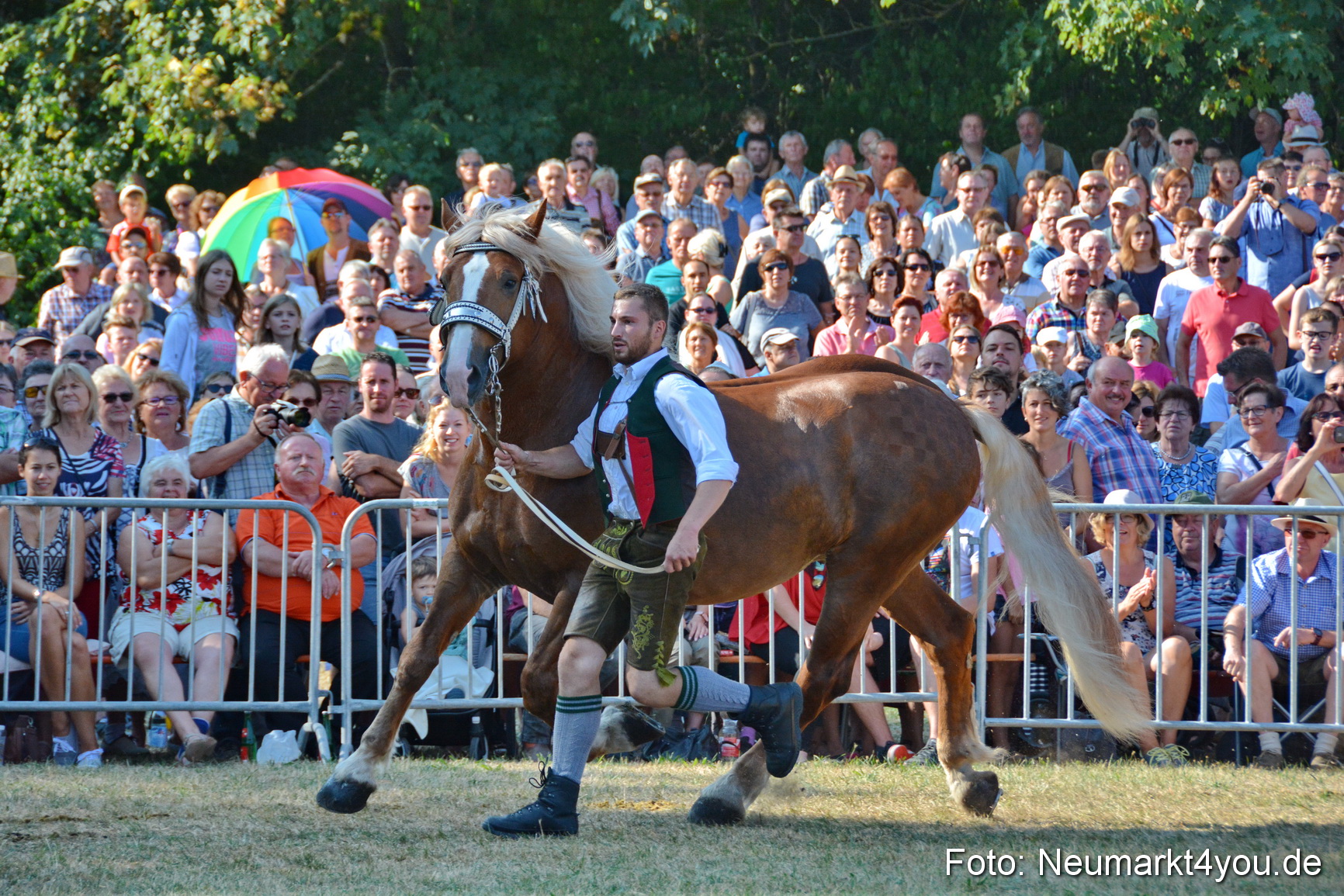 Pferde und Fohlenschau JURA Volksfest 2018 0086