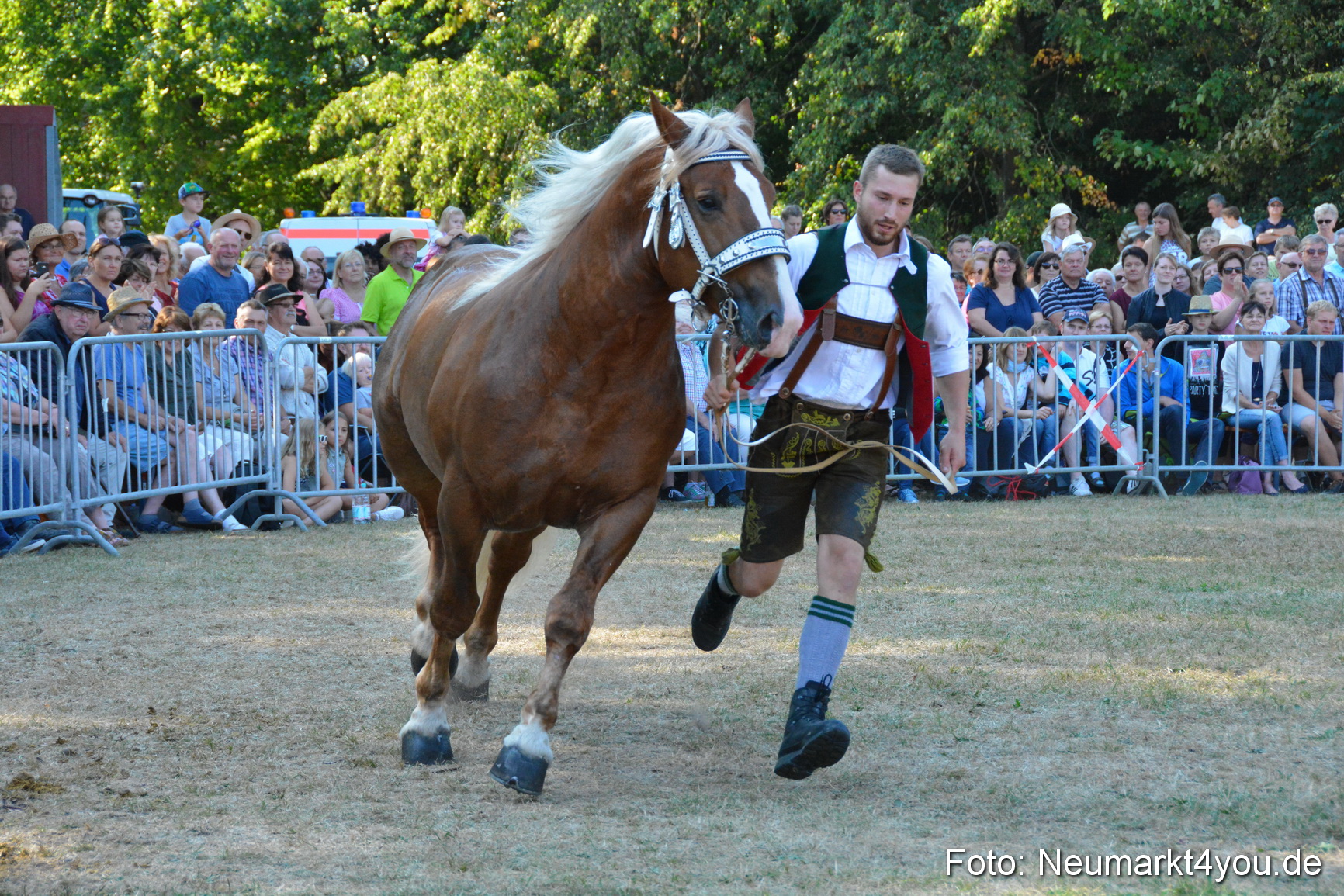 Pferde und Fohlenschau JURA Volksfest 2018 0087