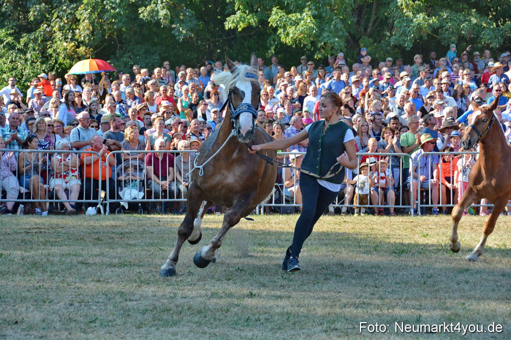 Pferde und Fohlenschau JURA Volksfest 2018 0088