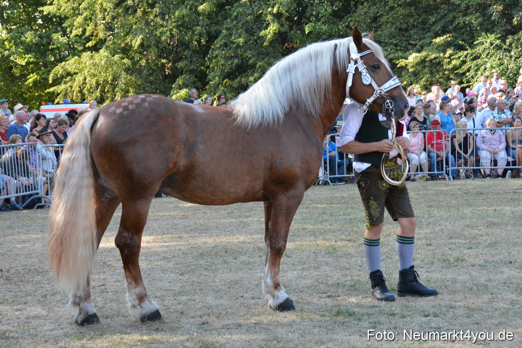 Pferde und Fohlenschau JURA Volksfest 2018 0091