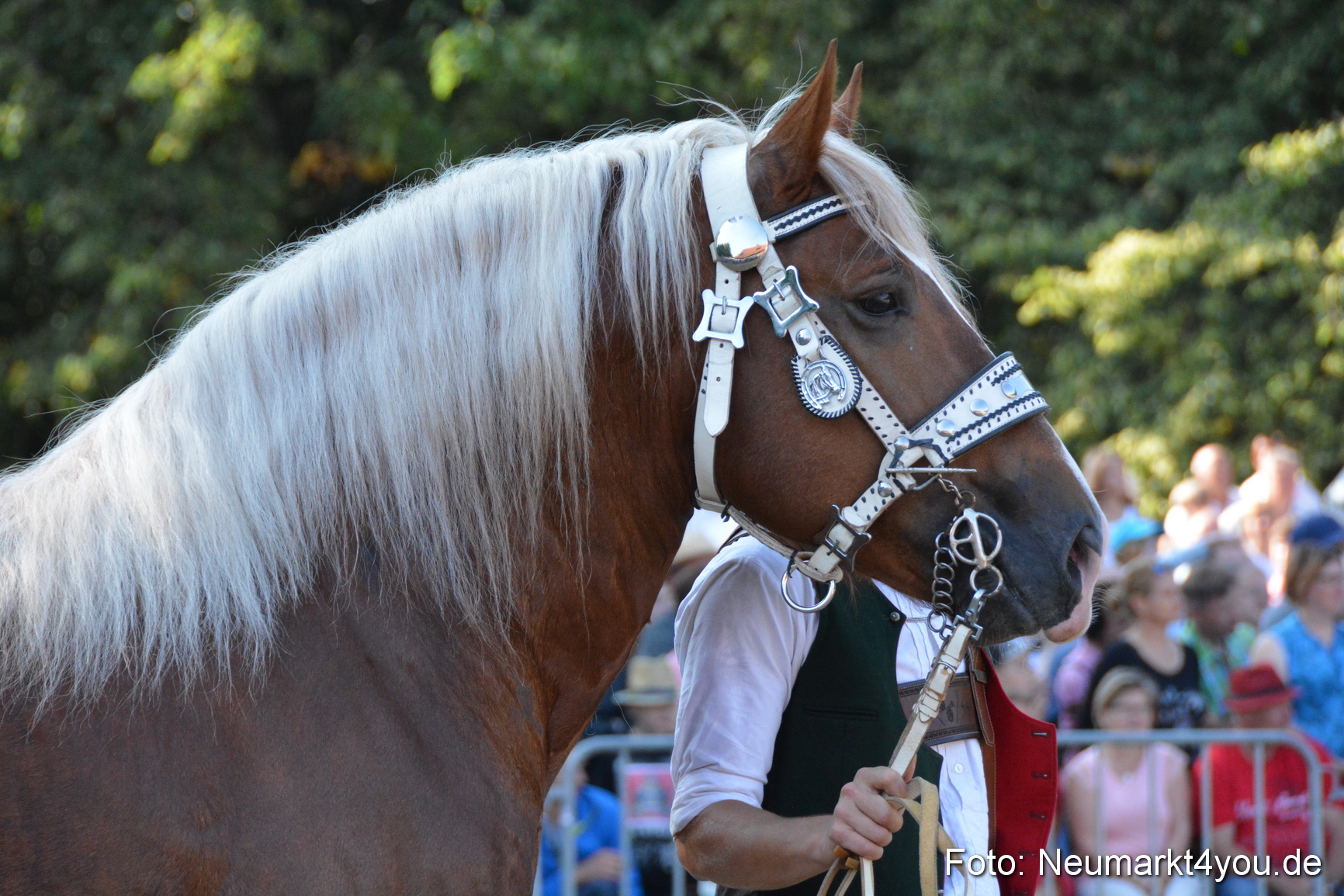Pferde und Fohlenschau JURA Volksfest 2018 0092