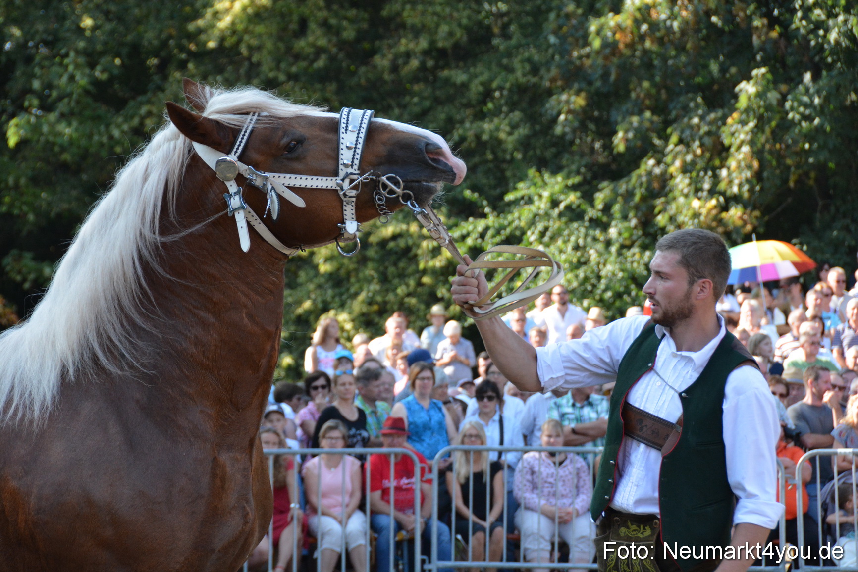 Pferde und Fohlenschau JURA Volksfest 2018 0093