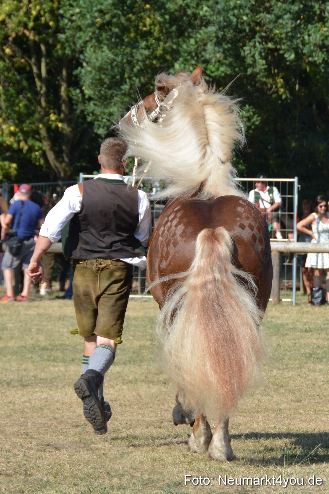 Pferde und Fohlenschau JURA Volksfest 2018 0094