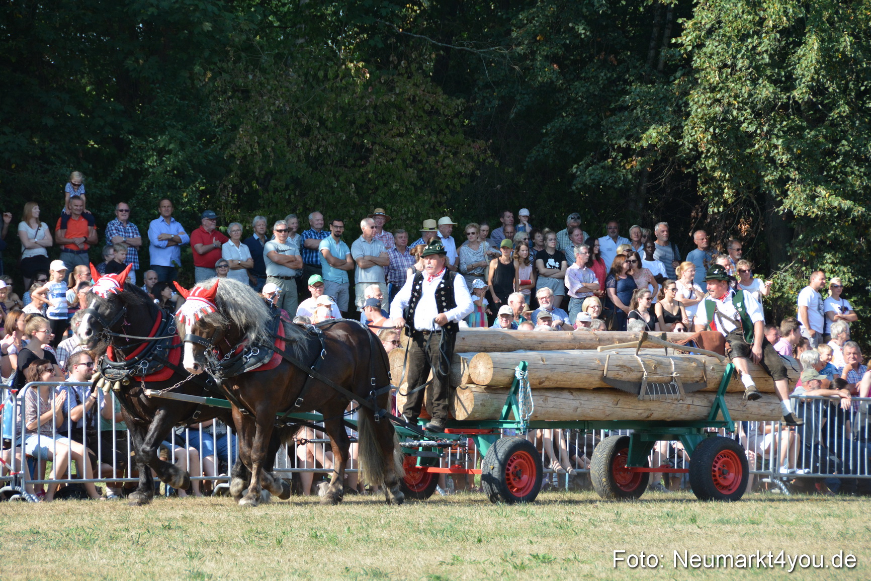 Pferde und Fohlenschau JURA Volksfest 2018 0095