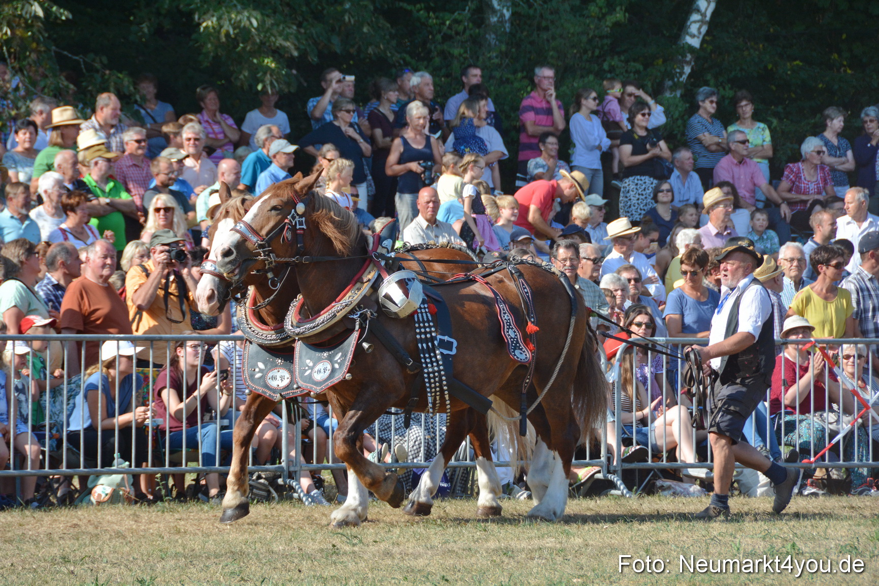 Pferde und Fohlenschau JURA Volksfest 2018 0096