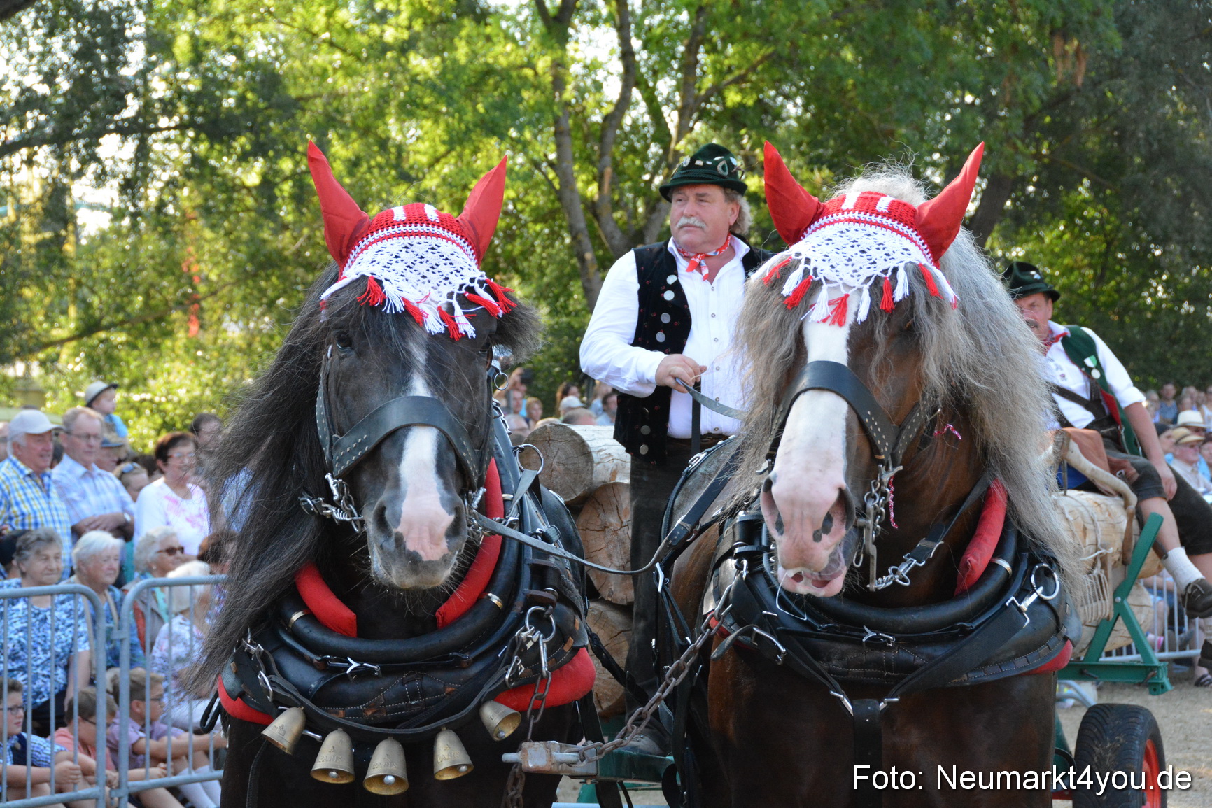 Pferde und Fohlenschau JURA Volksfest 2018 0098