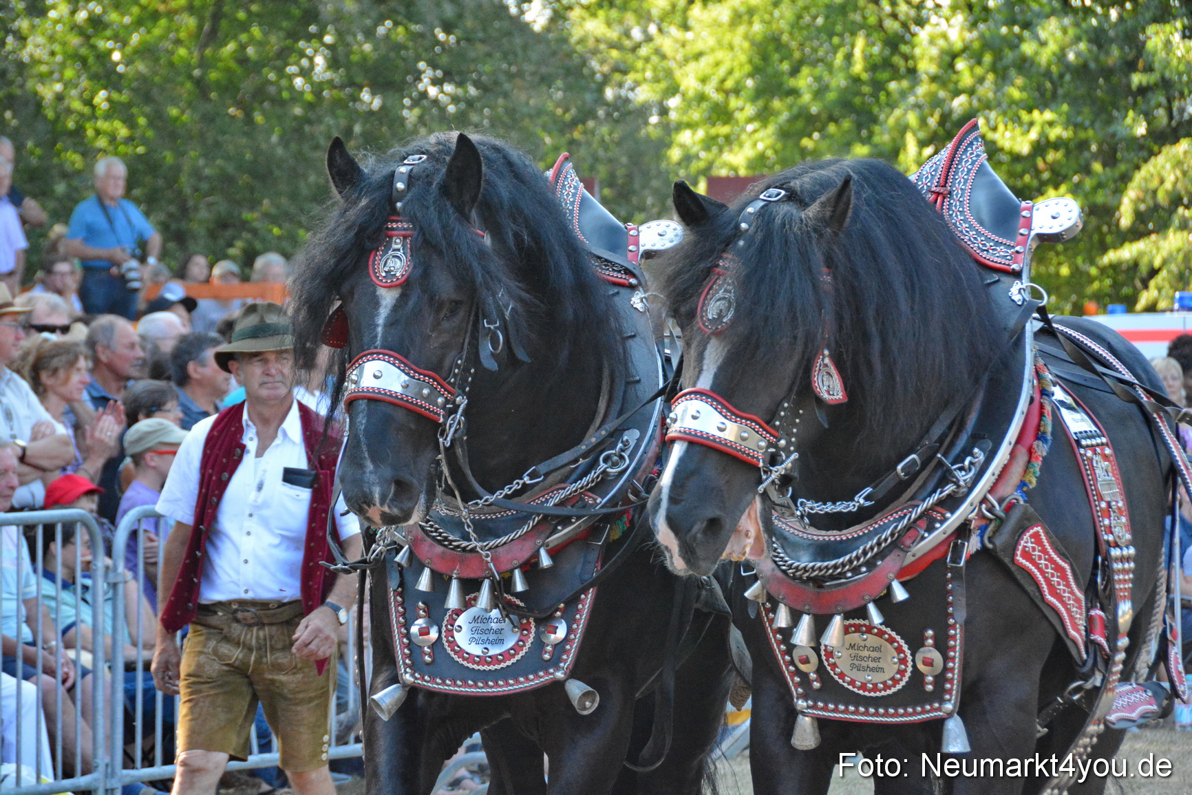 Pferde und Fohlenschau JURA Volksfest 2018 0100