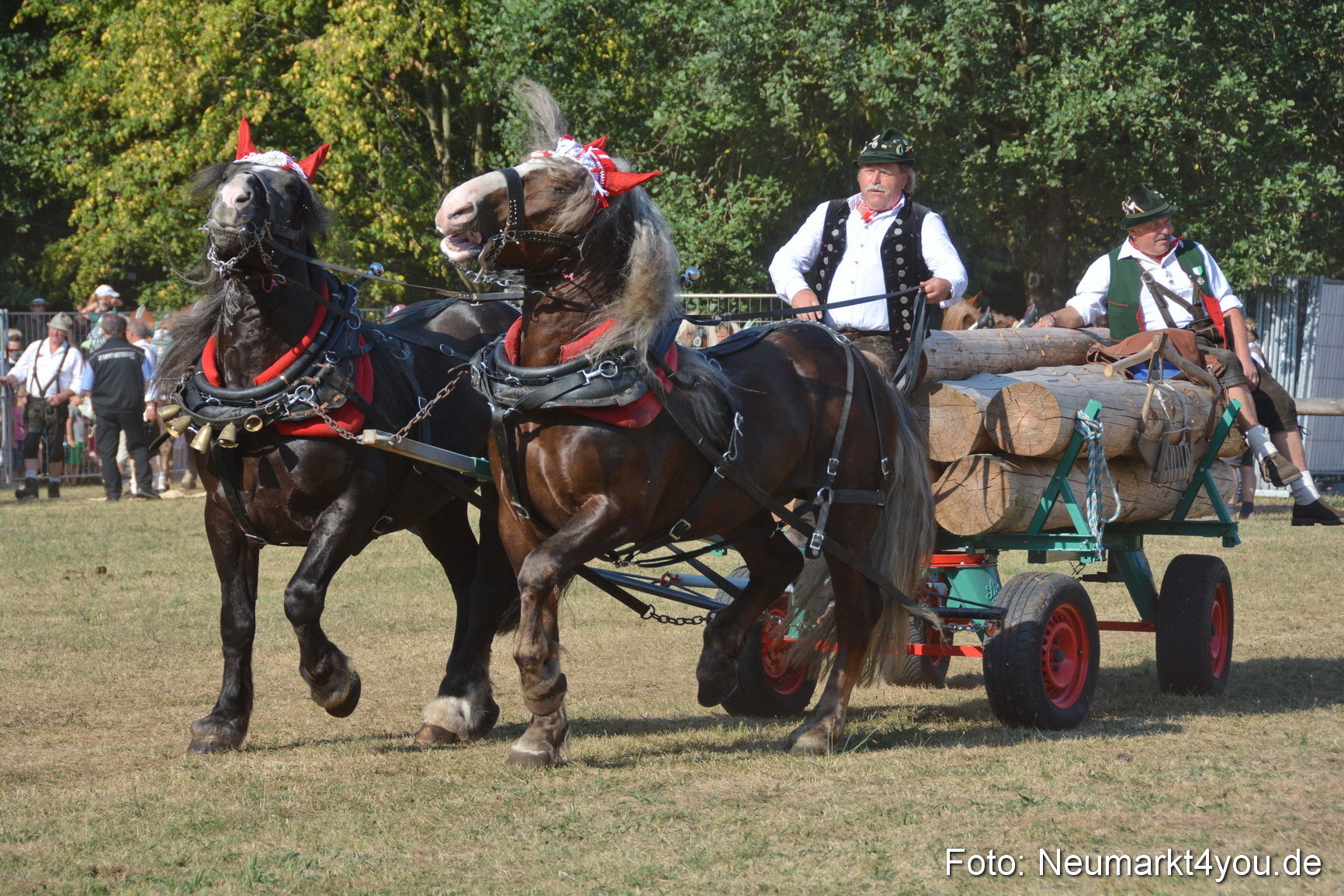 Pferde und Fohlenschau JURA Volksfest 2018 0103