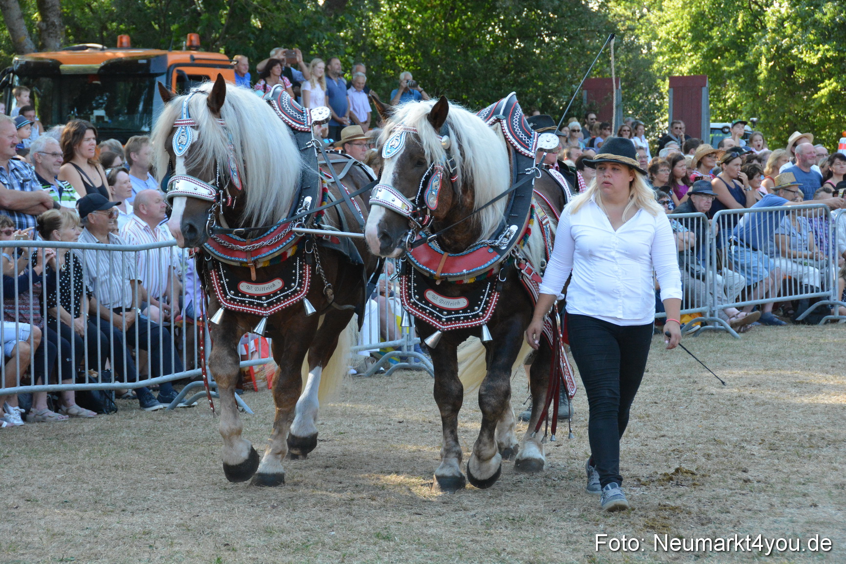 Pferde und Fohlenschau JURA Volksfest 2018 0105