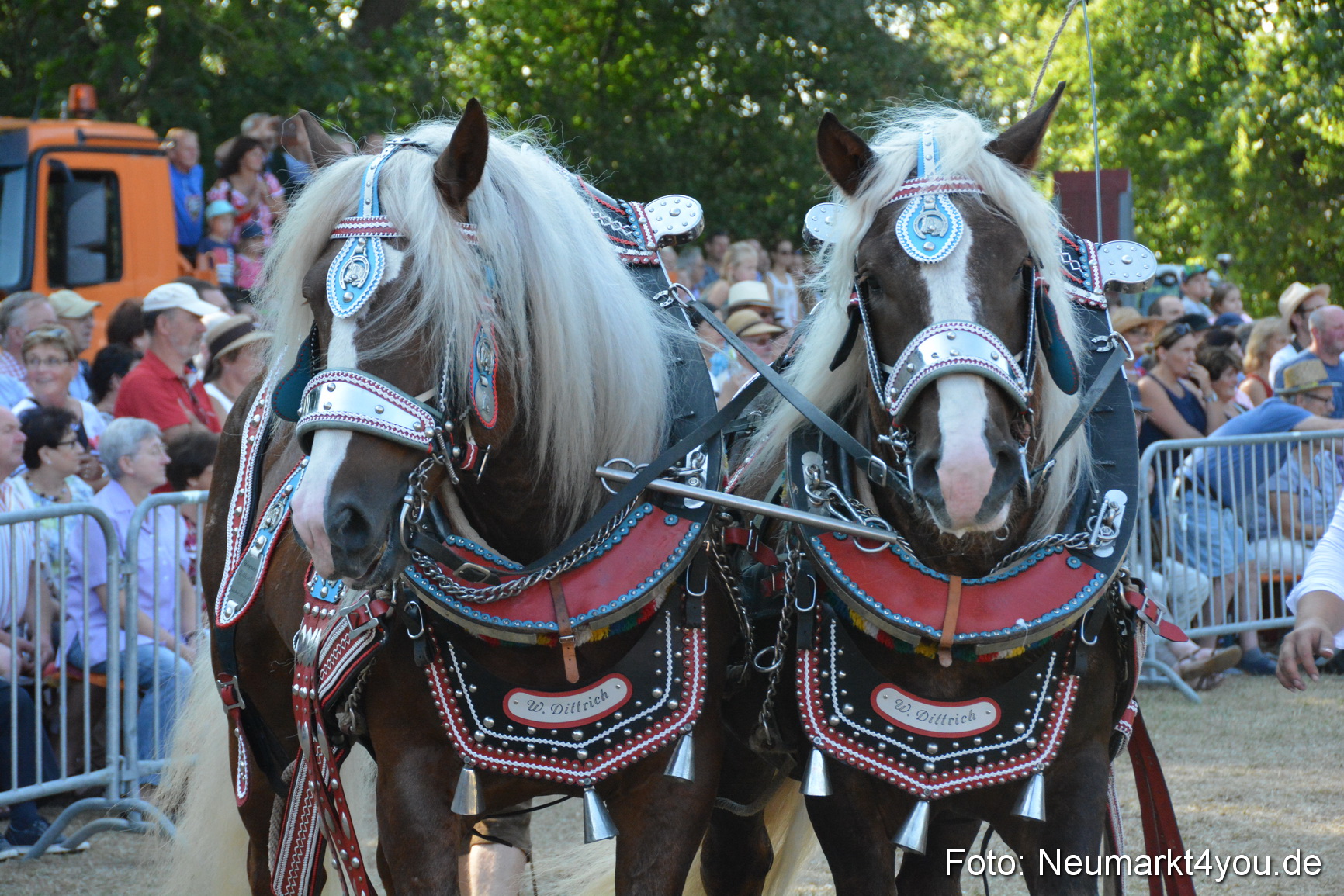 Pferde und Fohlenschau JURA Volksfest 2018 0106