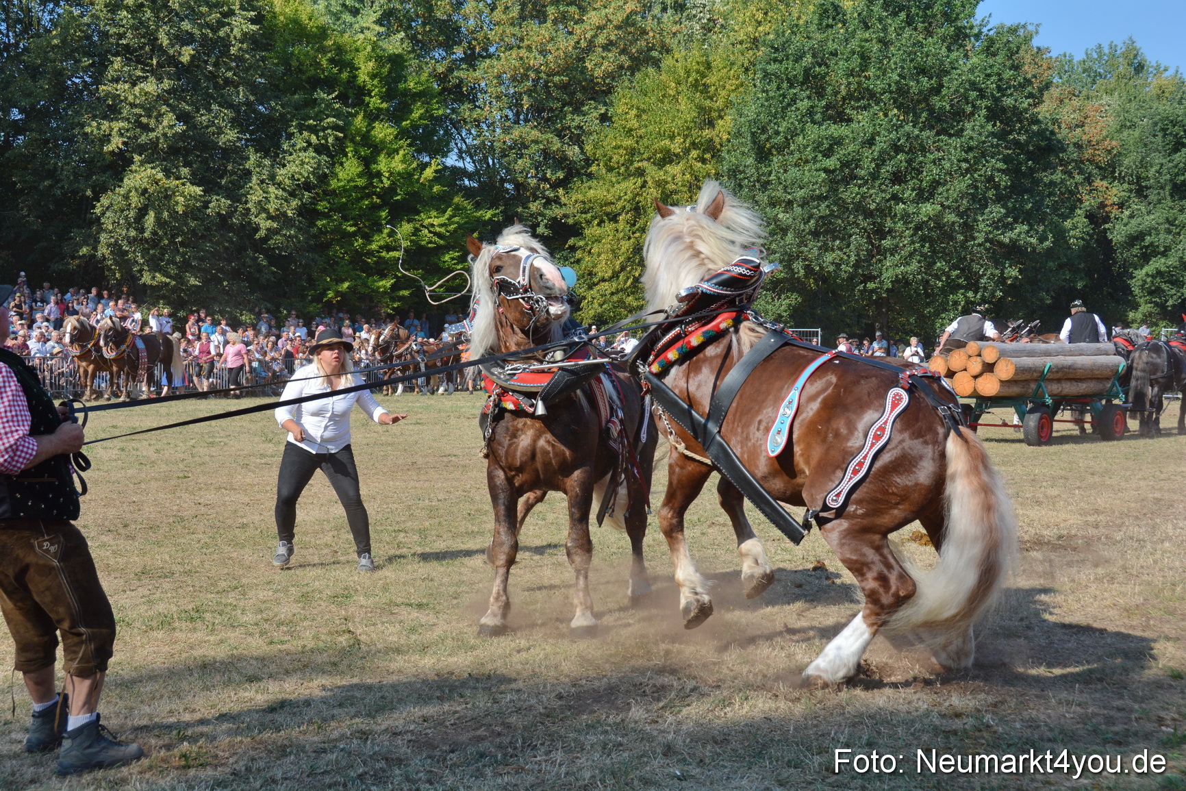 Pferde und Fohlenschau JURA Volksfest 2018 0109