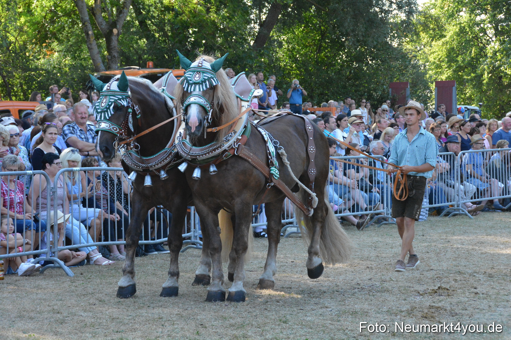 Pferde und Fohlenschau JURA Volksfest 2018 0112
