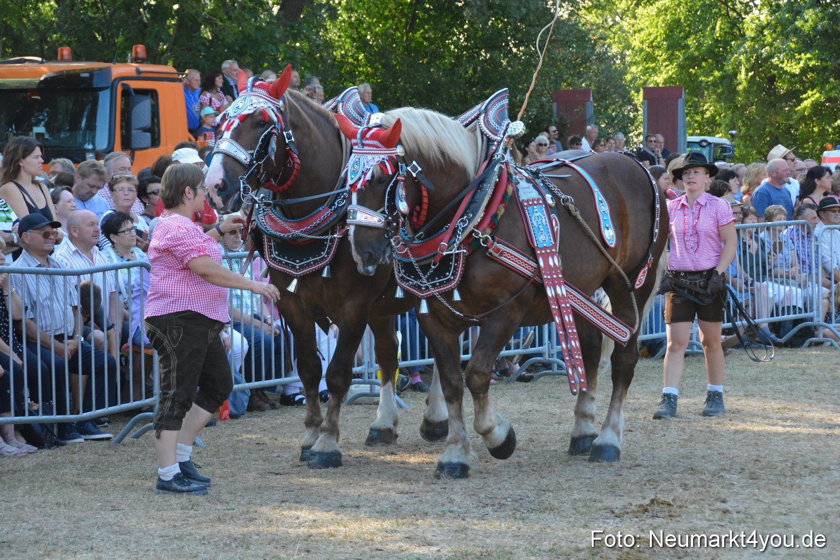 Pferde und Fohlenschau JURA Volksfest 2018 0116