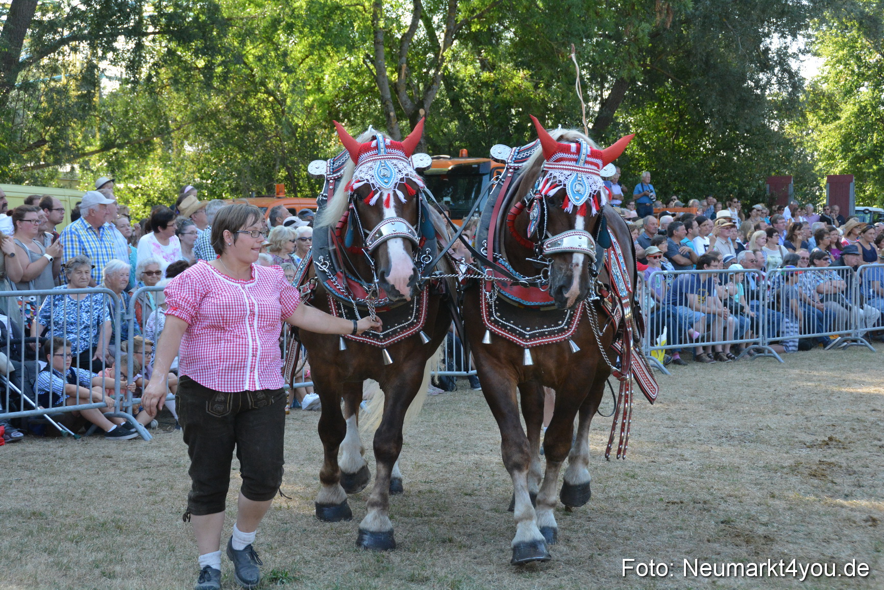Pferde und Fohlenschau JURA Volksfest 2018 0118