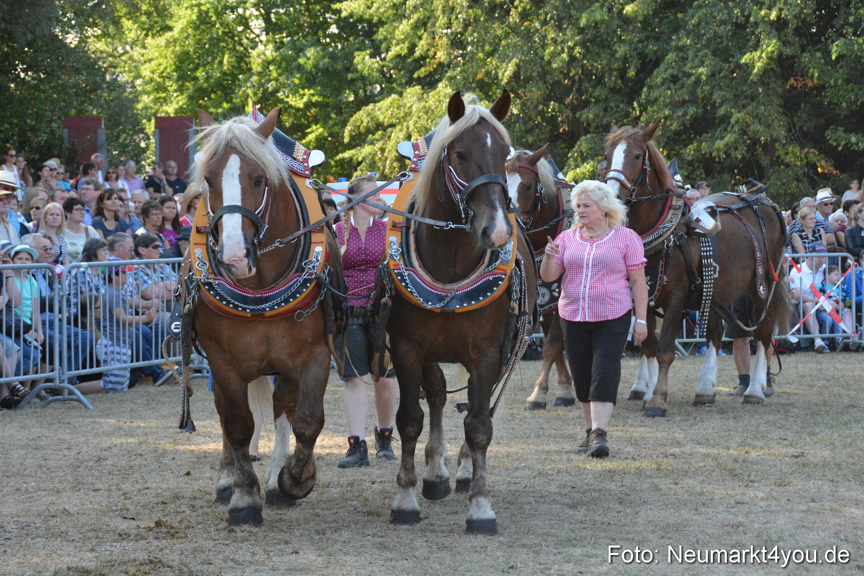 Pferde und Fohlenschau JURA Volksfest 2018 0120