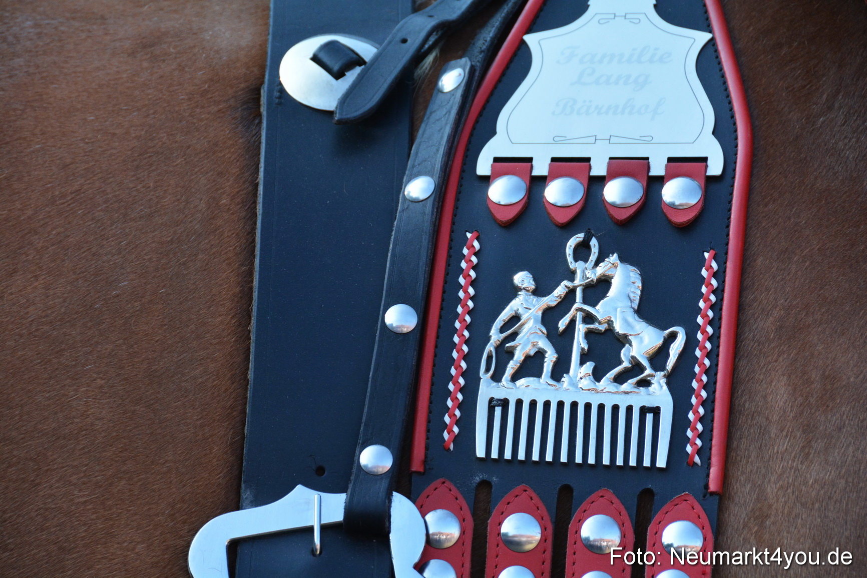 Pferde und Fohlenschau JURA Volksfest 2018 0126