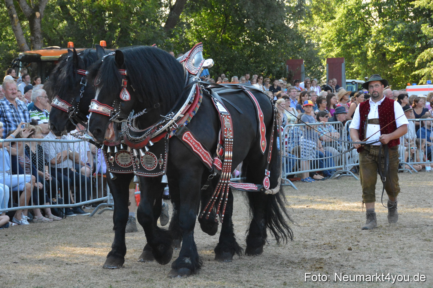 Pferde und Fohlenschau JURA Volksfest 2018 0129