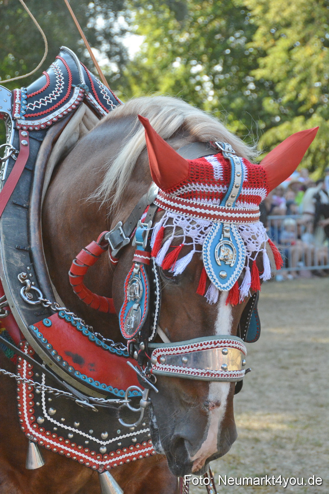 Pferde und Fohlenschau JURA Volksfest 2018 0132